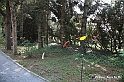 VBS_1496 - Castello di Miradolo - Mostra Oltre il giardino l'Abbecedario di paolo Pejrone
